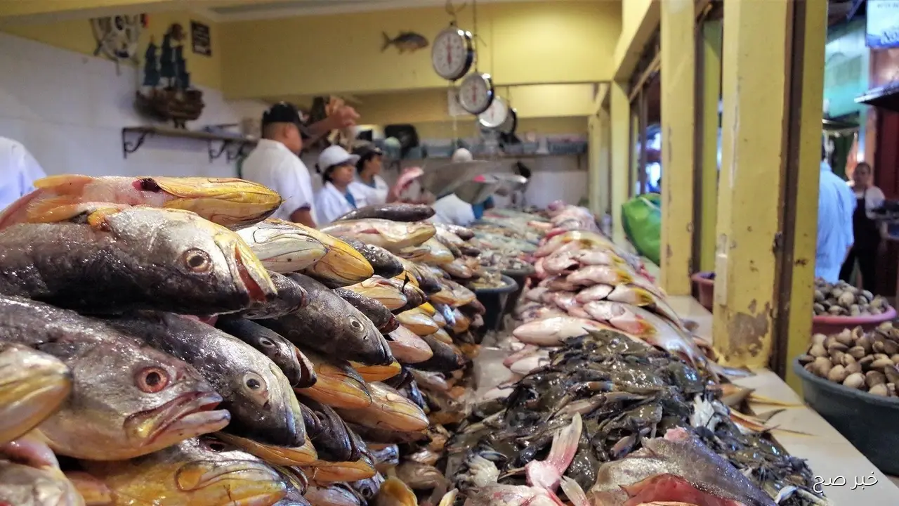 أسعار السمك اليوم الأحد 5 اكتوبر 2025 للكيلو في سوق العبور للجملة