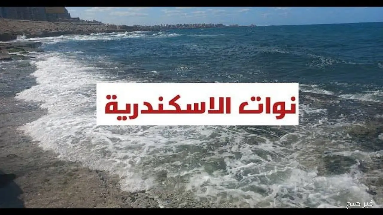جدول النوات بالاسكندرية 2025-2026.. مواعيد الأمطار والعواصف المرتقبة خلال الشتاء