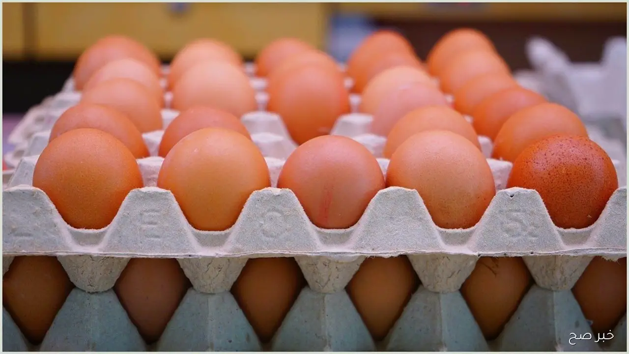 سعر كرتونة البيض اليوم الإثنين 6 أكتوبر 2025 بمختلف أنواعه للمستهلك فى السوق المحلية
