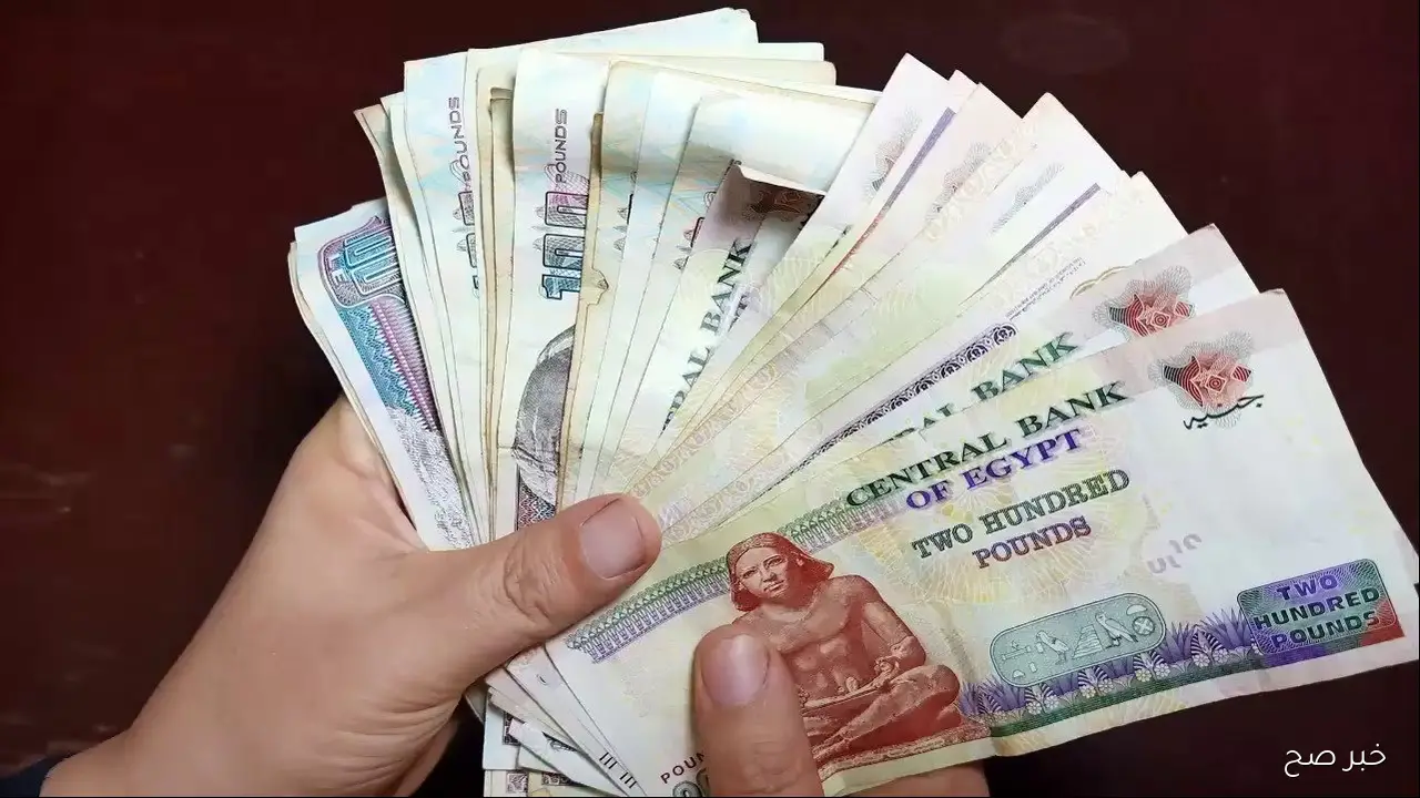 صرف معاشات نوفمبر 2025 يبدأ رسميًا.. تعرف على المواعيد والأماكن المتاحة للصرف