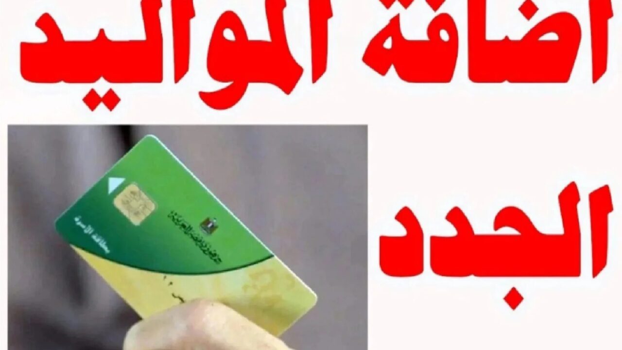 إضافة مواليد وزارة التموين 2025.. خطوات التسجيل والشروط للفئات المستحقة