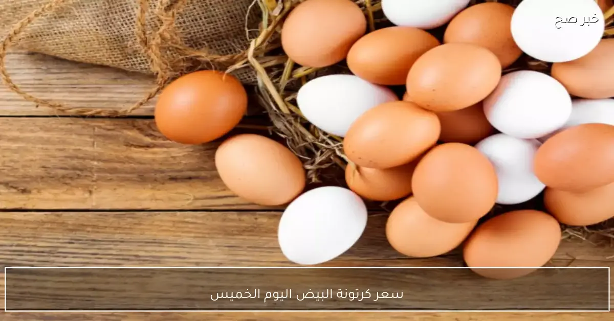 (موقع رسمي) سعر كرتونة البيض اليوم الخميس 27 نوفمبر 2025 للمستهلك في مصر