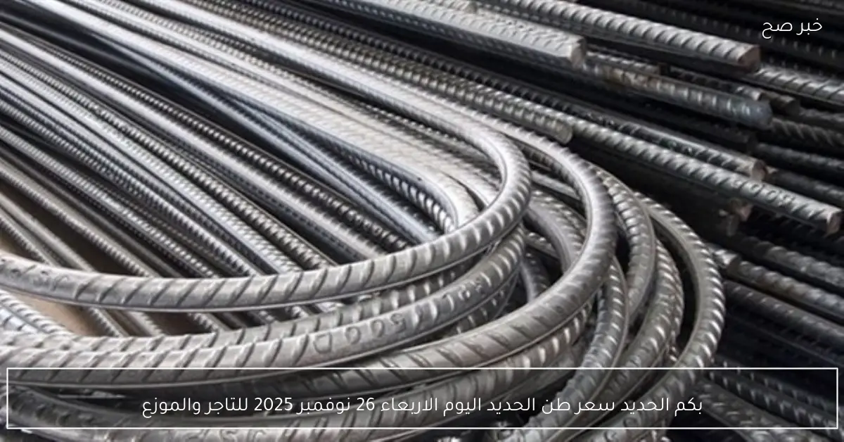 بكم الحديد الآن؟.. سعر طن الحديد اليوم الاربعاء 26 نوفمبر 2025 للتاجر والموزع