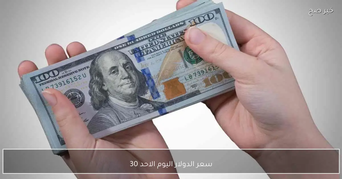 هدوء أم ارتفاع؟.. سعر الدولار اليوم الاحد 30-11-2025 مقابل الجنيه في البنوك والسوق السوداء