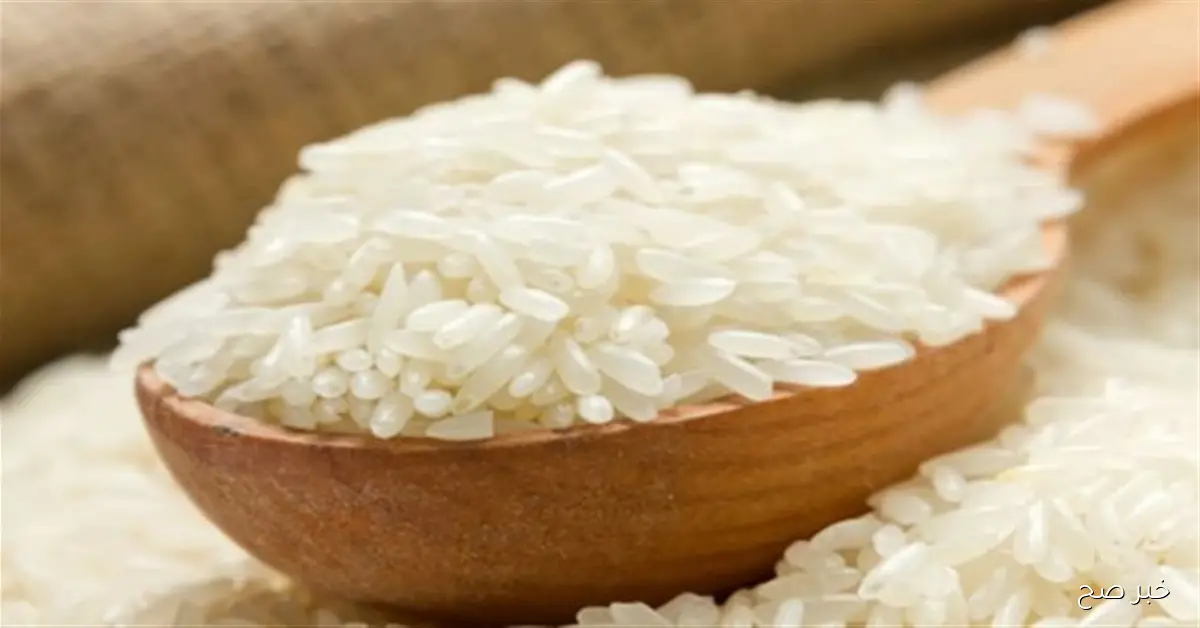 سعر طن الأرز الشعير اليوم الأربعاء 5 نوفمبر 2025 وأسعار السلع الأساسية في الاسواق المحلية