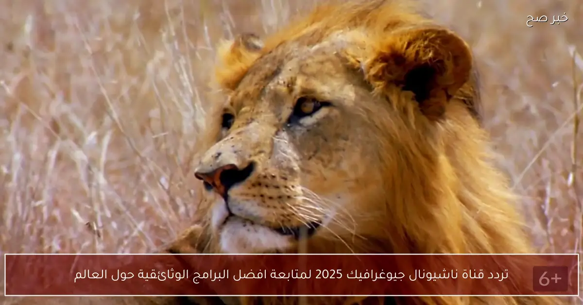 تردد قناة ناشيونال جيوغرافيك 2025 لمتابعة افضل البرامج الوثائقية حول العالم