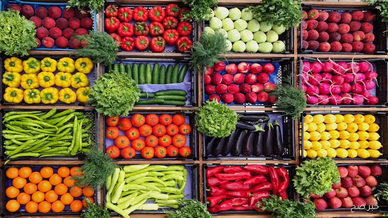 أحدث أسعار الفاكهة في سوق العبور اليوم الاثنين 17 نوفمبر 2025.. أبرز الأصناف والتحركات