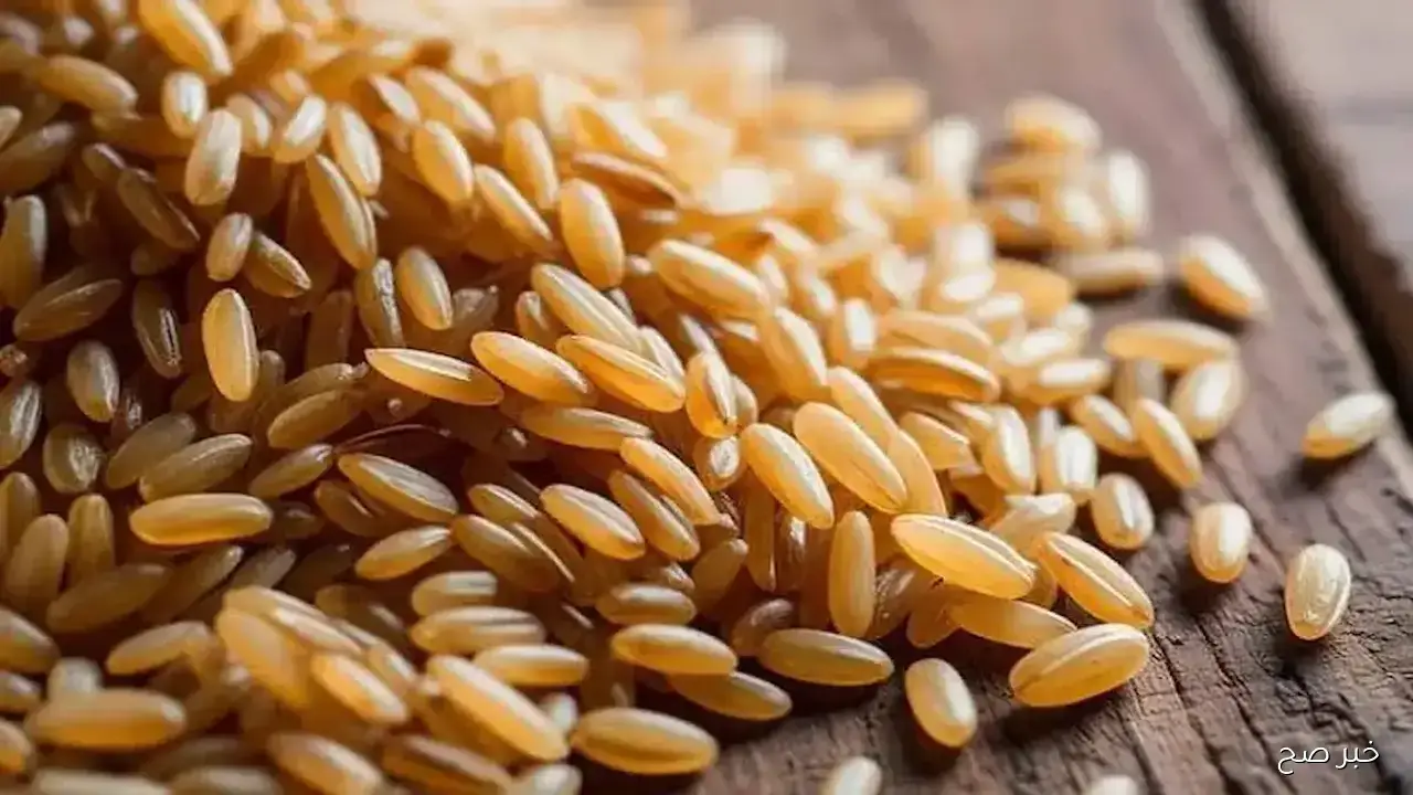 “تسعيرة السوق”.. أسعار الأرز الشعير اليوم الجمعة 7-11-2025 في مصر وأسعار السلع الغذائية