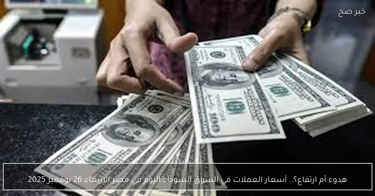 هدوء أم ارتفاع؟.. أسعار العملات في السوق السوداء اليوم في مصر الاربعاء 26 نوفمبر 2025