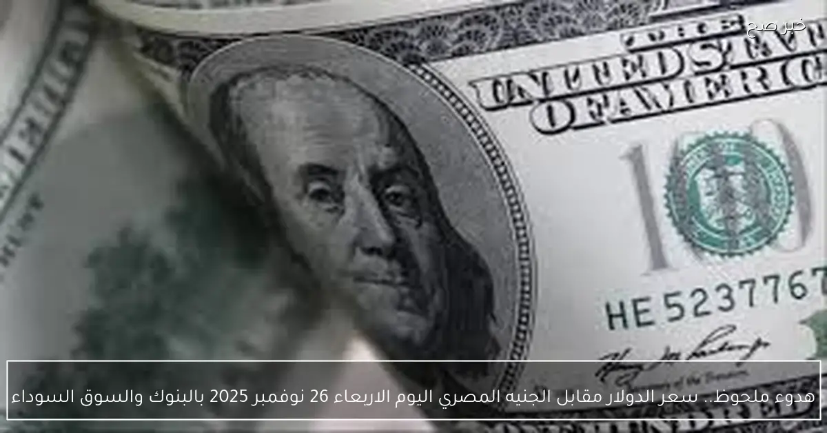 هدوء ملحوظ.. سعر الدولار مقابل الجنيه المصري اليوم الاربعاء 26 نوفمبر 2025 بالبنوك والسوق السوداء