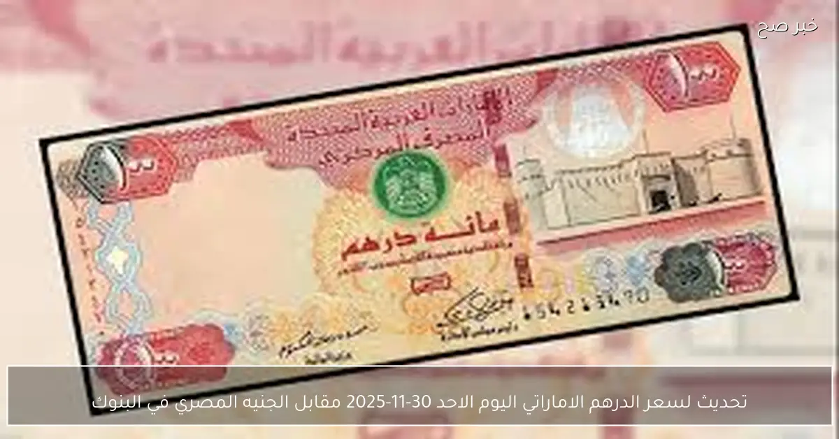 تحديث لحظي.. سعر الدرهم الاماراتي اليوم الاحد 30-11-2025 مقابل الجنيه المصري في البنوك