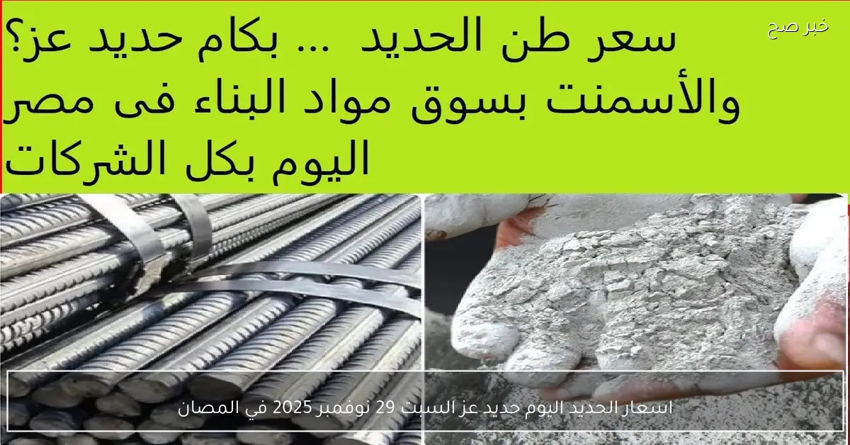 بكام الطن؟.. اسعار الحديد اليوم حديد عز السبت 29 نوفمبر 2025 في المصانع والشركات