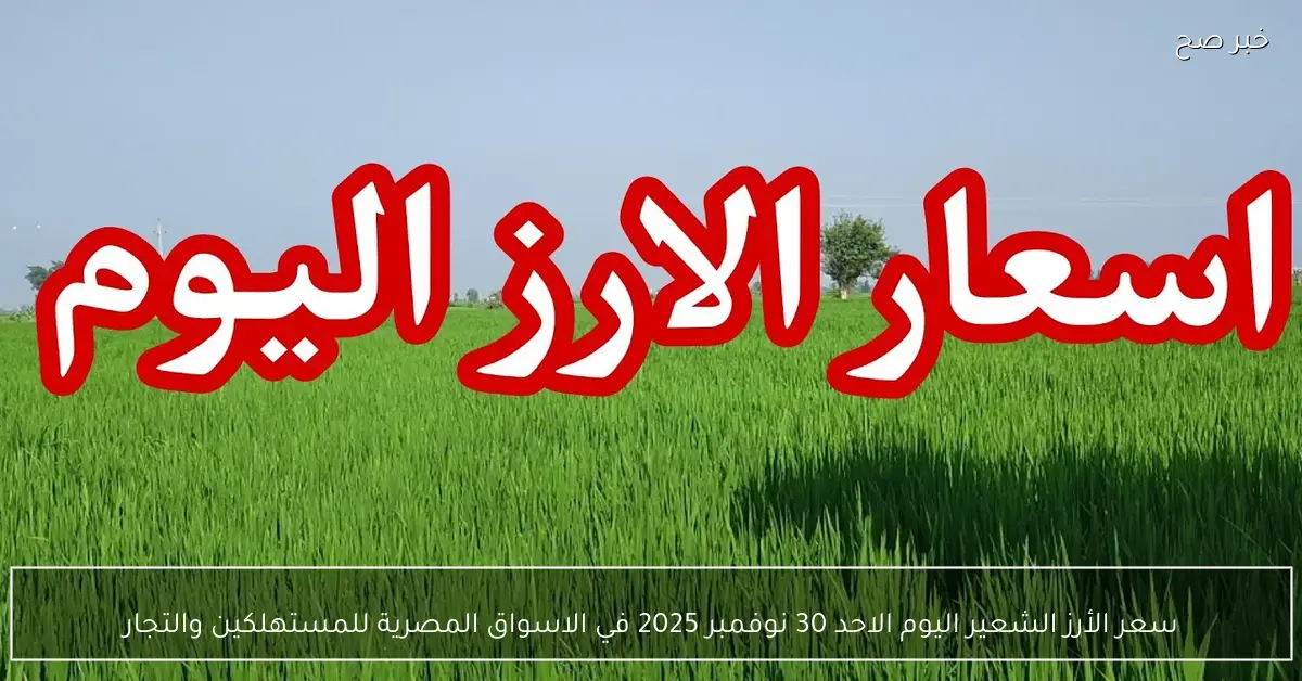 سعر الأرز الشعير اليوم الاحد 30 نوفمبر 2025 في الاسواق المصرية للمستهلكين والتجار