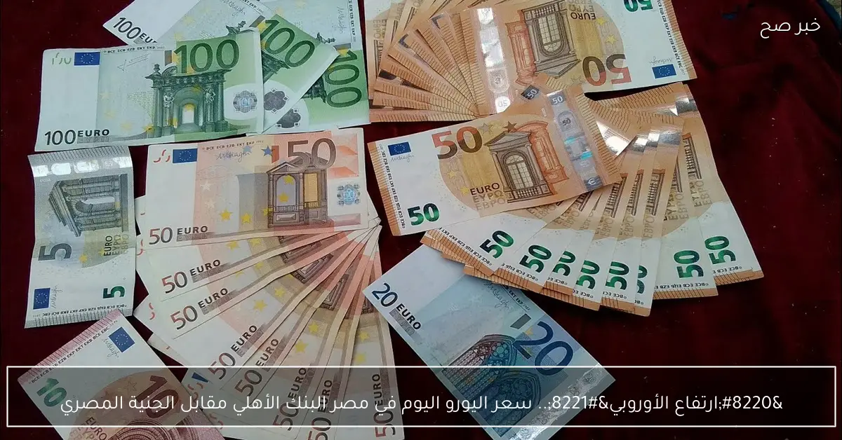 “ارتفاع الأوروبي”.. سعر اليورو اليوم في مصر البنك الأهلي مقابل الجنية المصري
