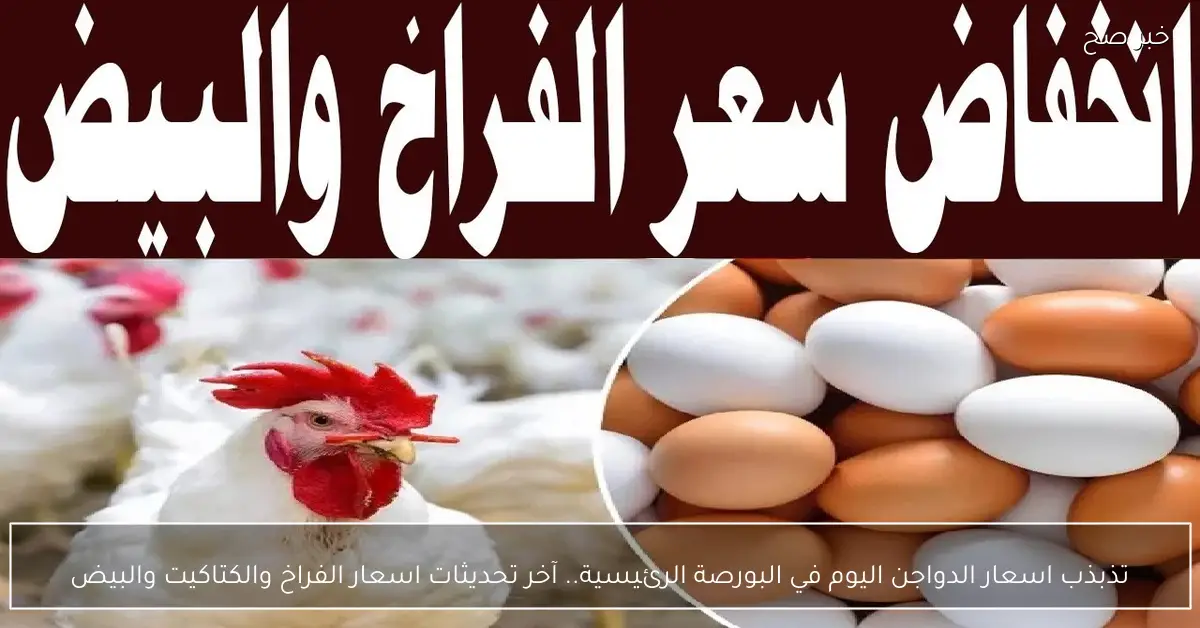 تذبذب اسعار الدواجن اليوم في البورصة الرئيسية.. آخر تحديثات اسعار الفراخ والكتاكيت والبيض
