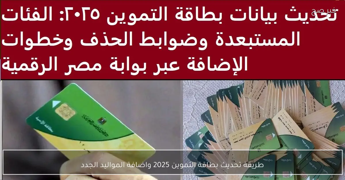 طريقة تحديث بطاقة التموين 2025 واضافة المواليد الجدد عبر بوابة مصر الرقمية