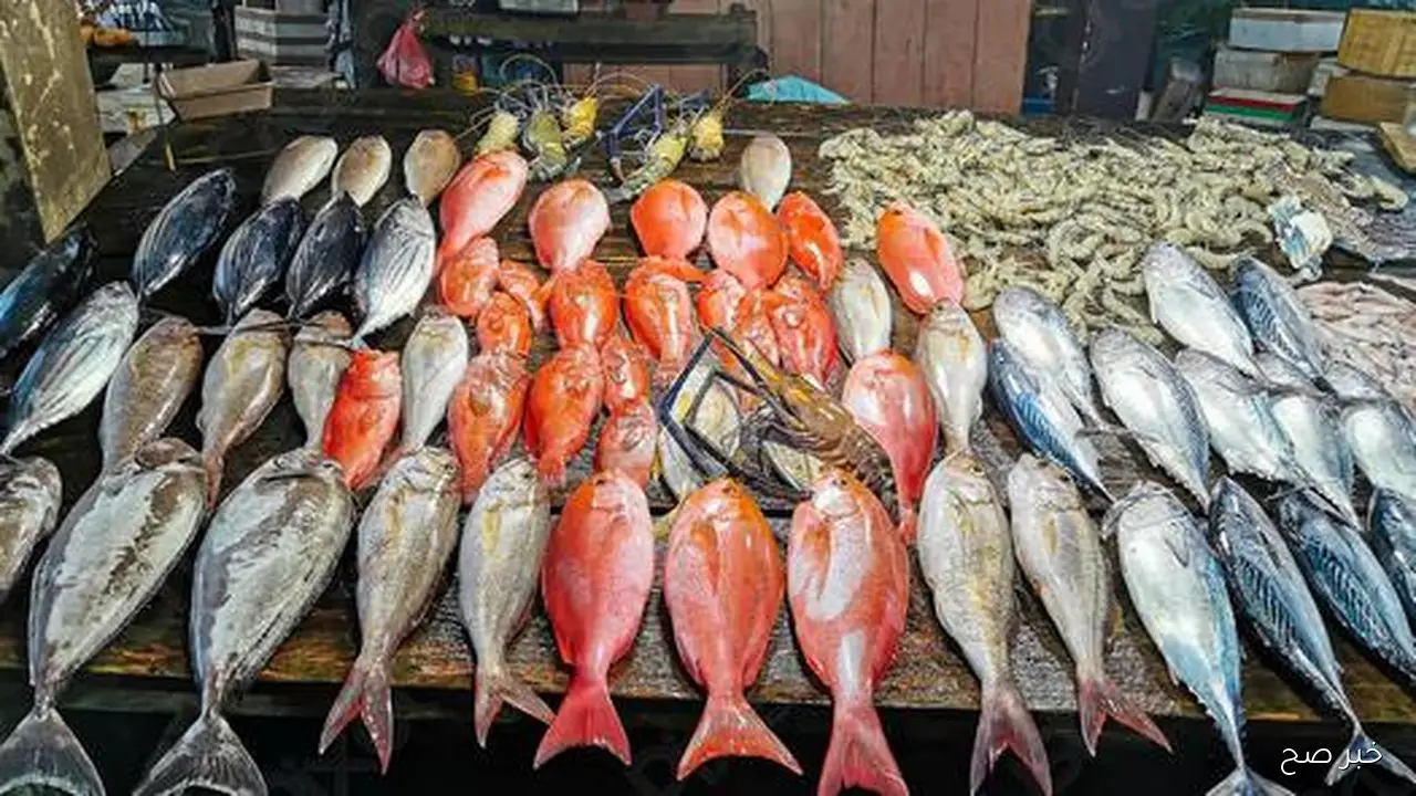 أسعار السمك في سوق العبور اليوم الاحد 16 نوفمبر 2025 .. تحديث كامل لأبرز الأنواع والأسعار للمستهلكين