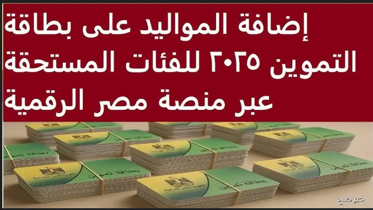رابط إضافة أفراد في بطاقة التموين 2025.. تعرف على الشروط المطلوبة للتسجيل