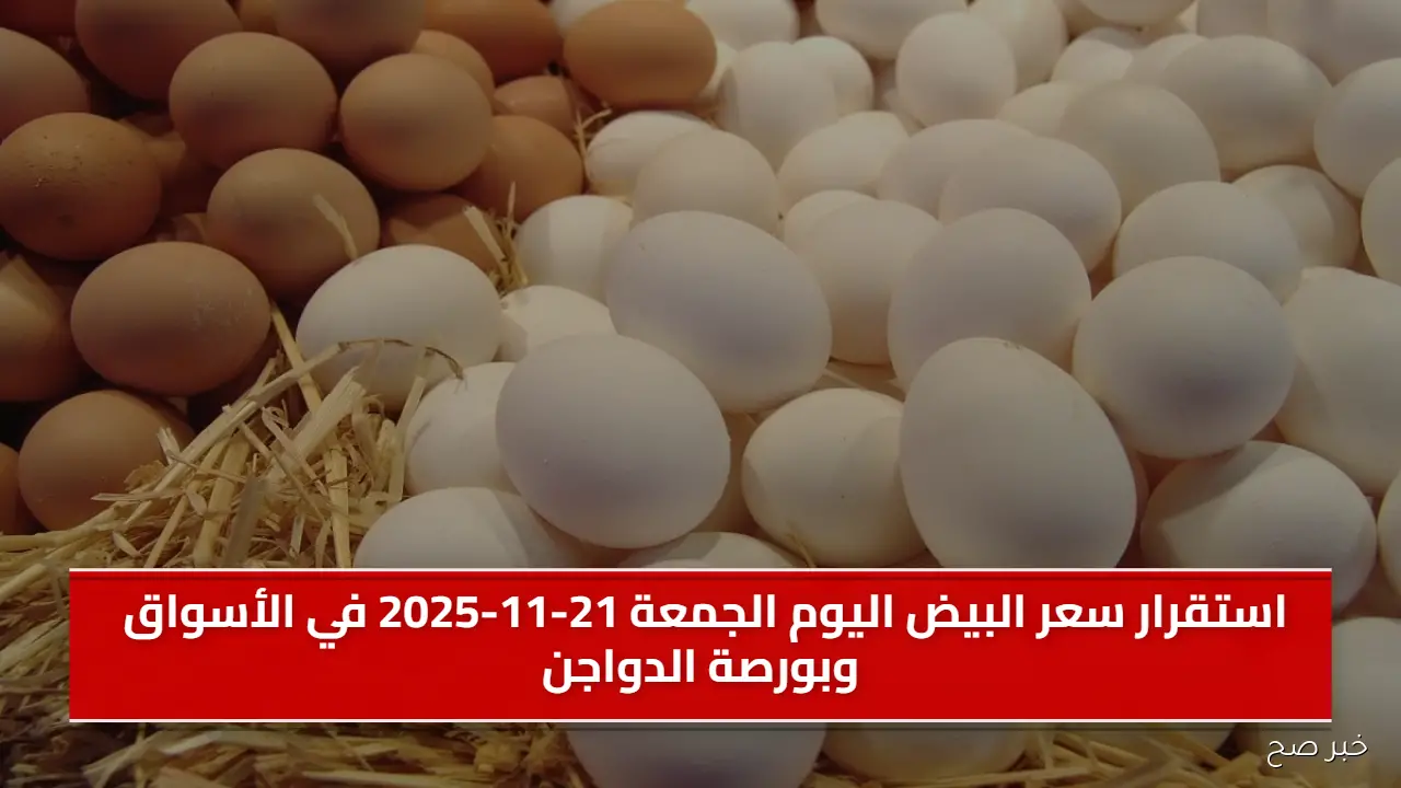 استقرار سعر البيض اليوم الجمعة 21-11-2025 في الأسواق وبورصة الدواجن