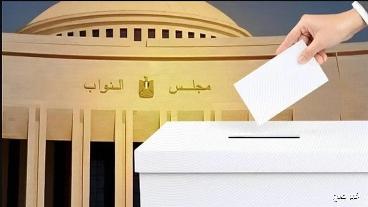 الوطنيــة تٌعلن .. موعد إعلان نتائج انتخابات مجلس النواب 2025 في مصر