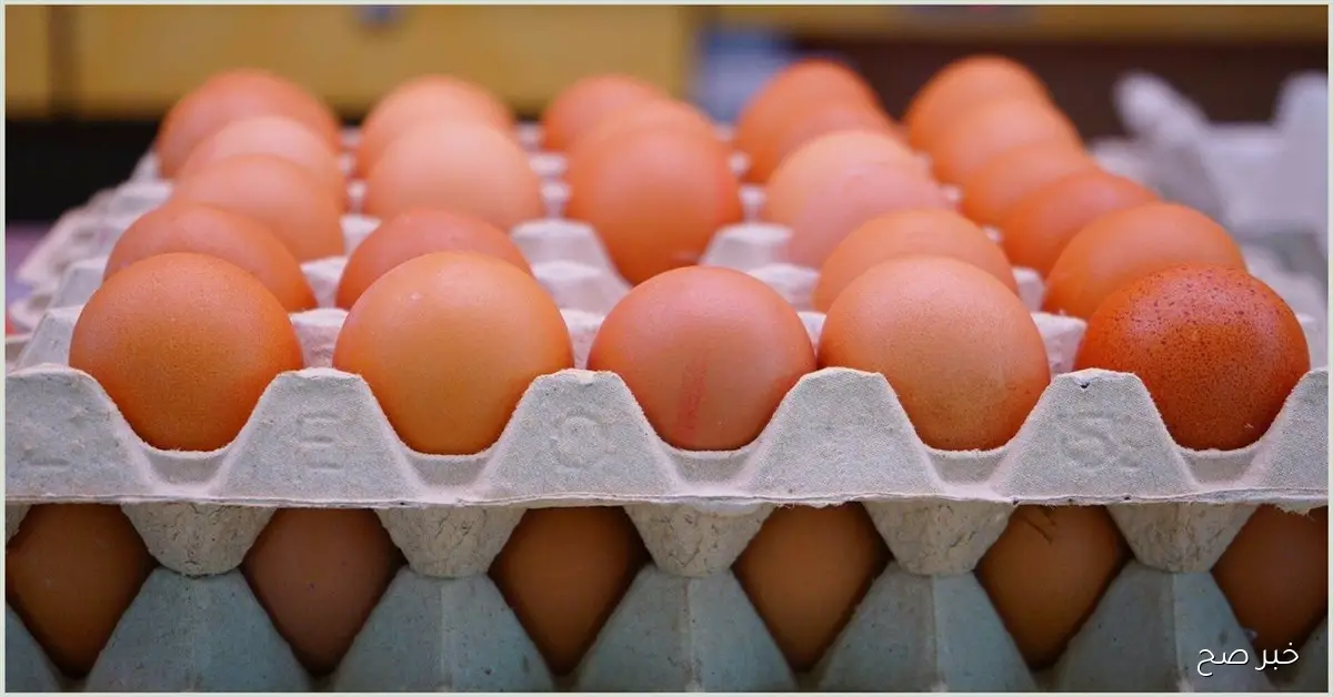 سعر البيض اليوم الخميس 6 نوفمبر 2025 جملة وقطاعي في بالأسواق المصرية