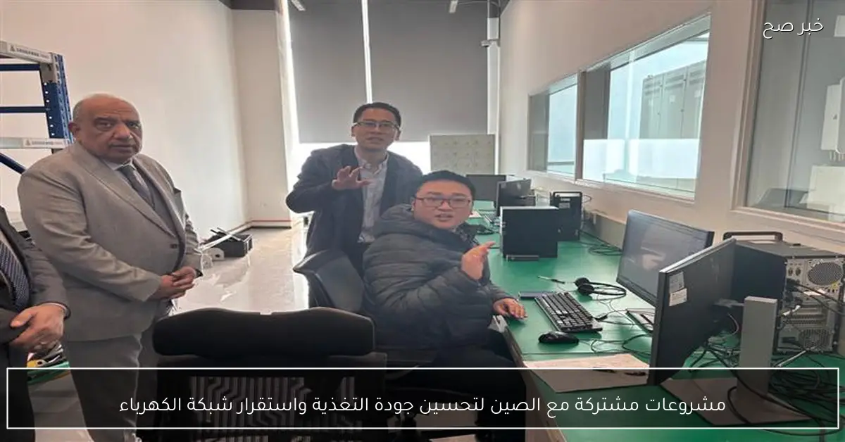 مشروعات مشتركة مع الصين لتحسين جودة التغذية واستقرار شبكة الكهرباء