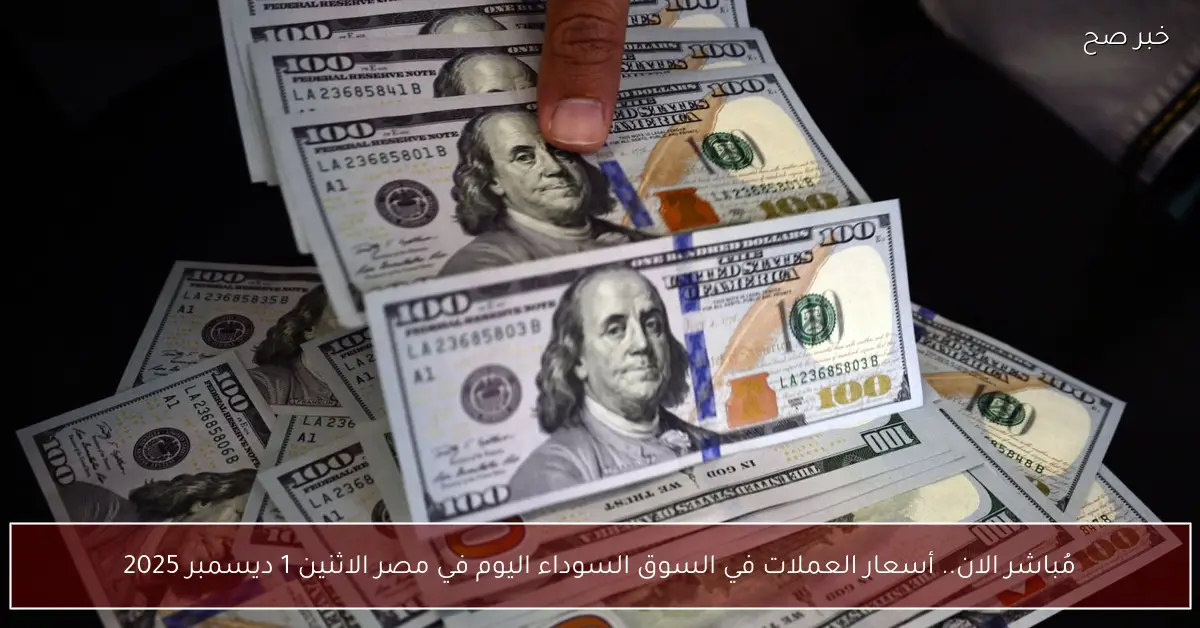 مُباشر الان.. أسعار العملات في السوق السوداء اليوم في مصر الاثنين 1 ديسمبر 2025