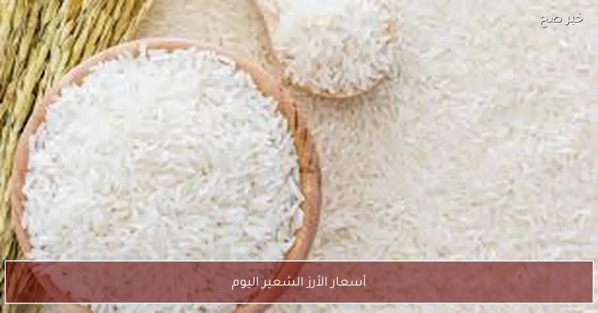 “بشري سارة للفلاحين”.. أسعار الأرز الشعير اليوم الاثنين 1-12-2025 للمستهلك في مصر