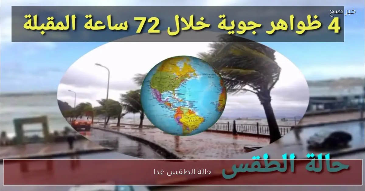 حالة الطقس غدا الخميس وتحذيرات الأرصاد الجوية من الشبورة ونشاط الرياح