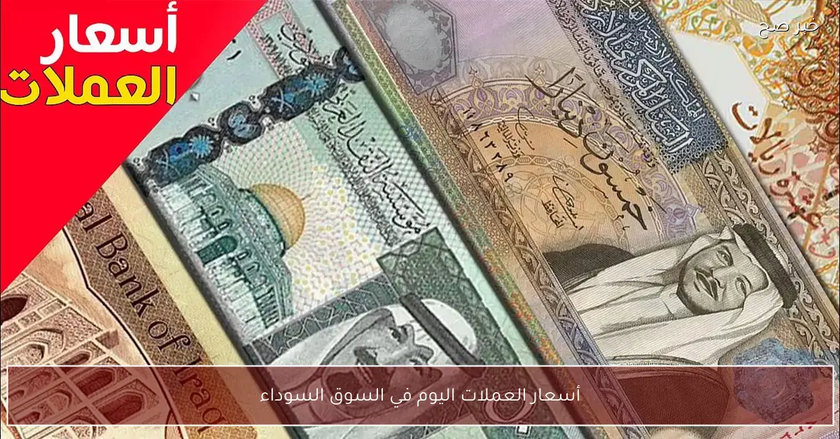 “هبوط الدولار واليورو”.. أسعار العملات اليوم في السوق السوداء مقابل الجنية المصري