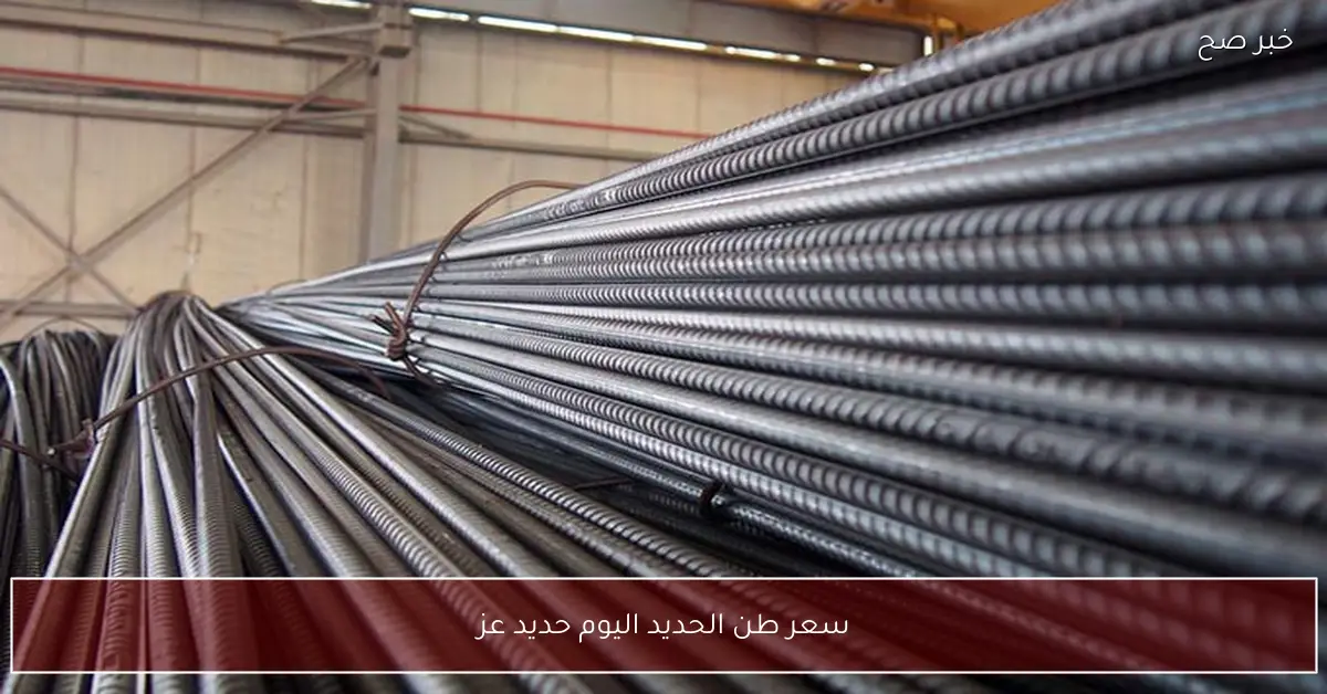 انخفاض سعر طن الحديد اليوم في مصر.. حديد عز يترأس قائمة التراجعات