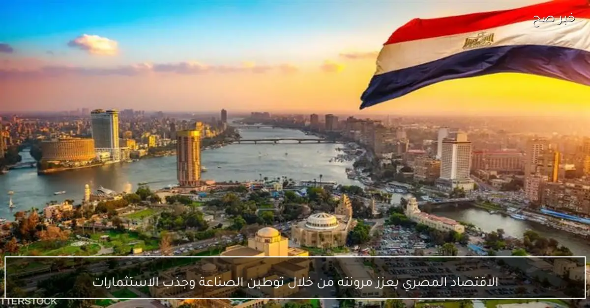 الاقتصاد المصري يعزز مرونته من خلال توطين الصناعة وجذب الاستثمارات