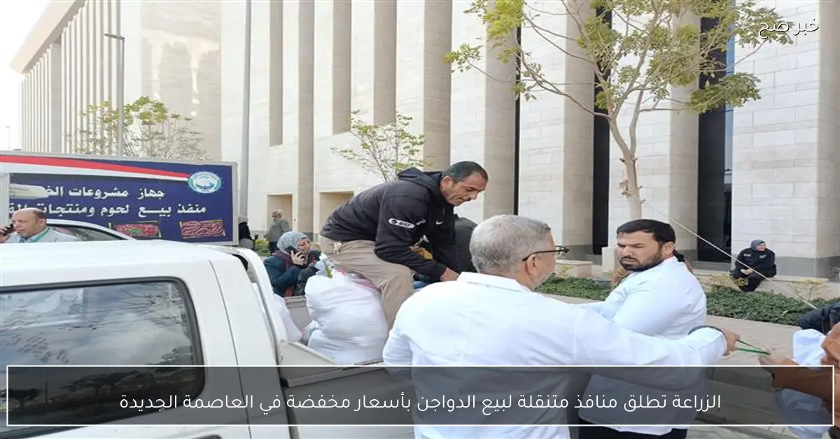 الزراعة تطلق منافذ متنقلة لبيع الدواجن بأسعار مخفضة في العاصمة الجديدة