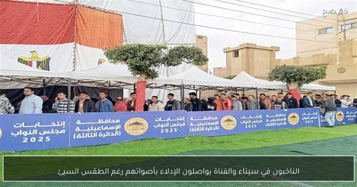 الناخبون في سيناء والقناة يواصلون الإدلاء بأصواتهم رغم الطقس السيئ