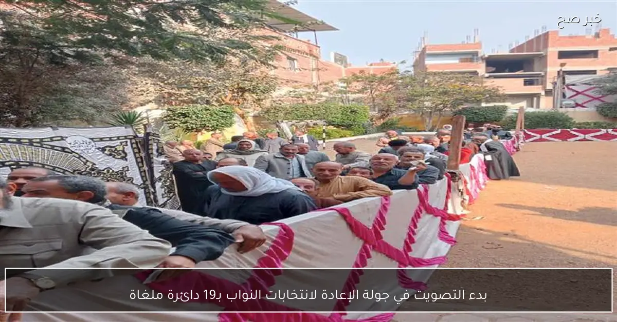 بدء التصويت في جولة الإعادة لانتخابات النواب بـ19 دائرة ملغاة