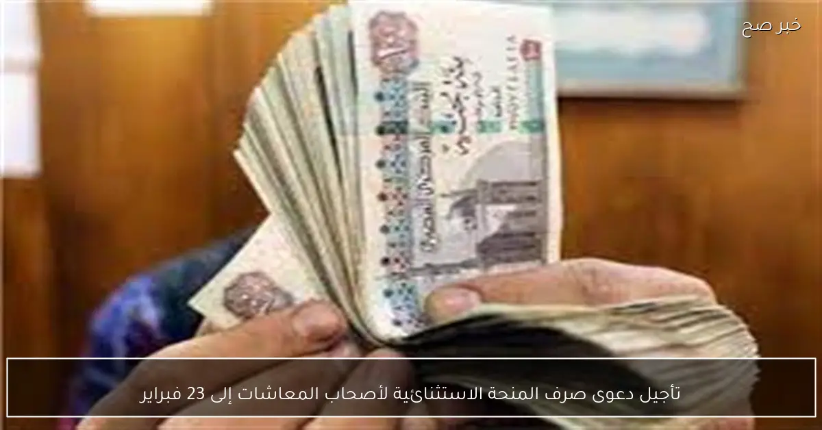 تأجيل دعوى صرف المنحة الاستثنائية لأصحاب المعاشات إلى 23 فبراير