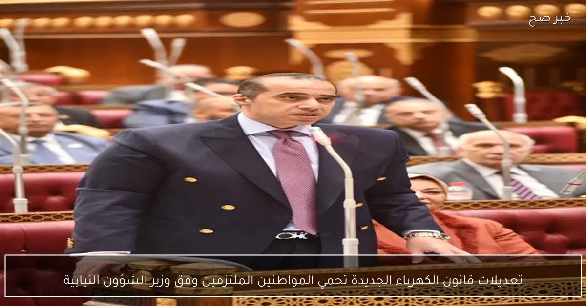 تعديلات قانون الكهرباء الجديدة تحمي المواطنين الملتزمين وفق وزير الشؤون النيابية