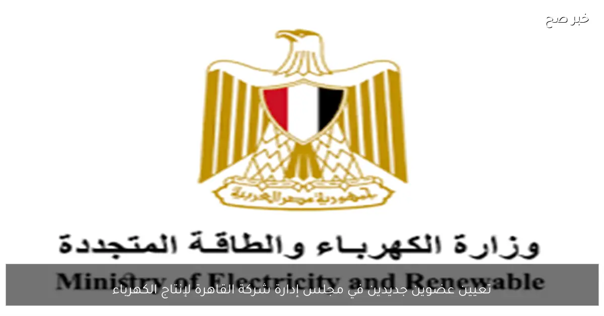 تعيين عضوين جديدين في مجلس إدارة شركة القاهرة لإنتاج الكهرباء