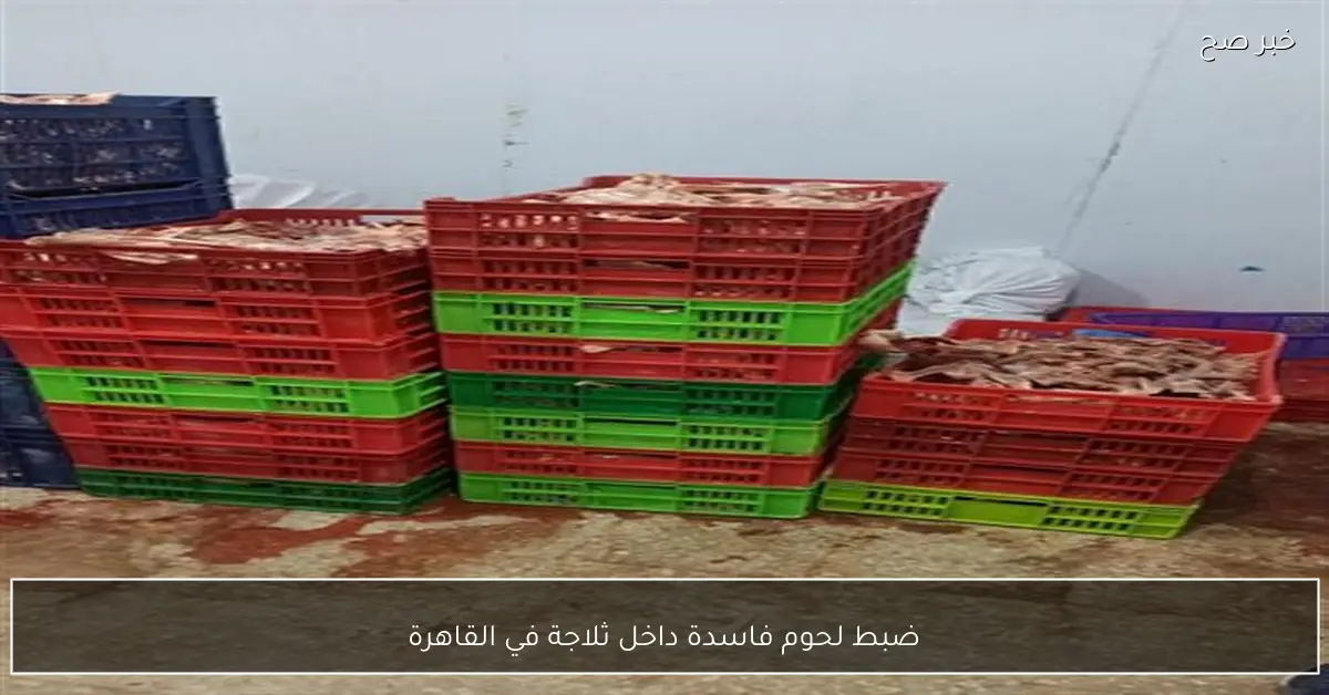 ضبط لحوم فاسدة داخل ثلاجة في القاهرة