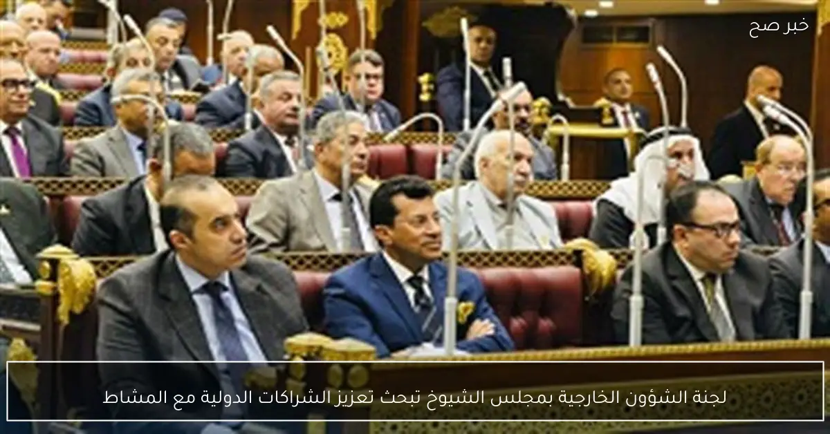 لجنة الشؤون الخارجية بمجلس الشيوخ تبحث تعزيز الشراكات الدولية مع المشاط