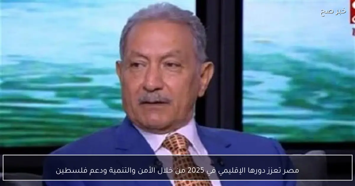 مصر تعزز دورها الإقليمي في 2025 من خلال الأمن والتنمية ودعم فلسطين