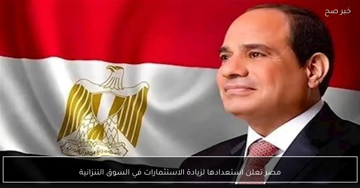 مصر تعلن استعدادها لزيادة الاستثمارات في السوق التنزانية