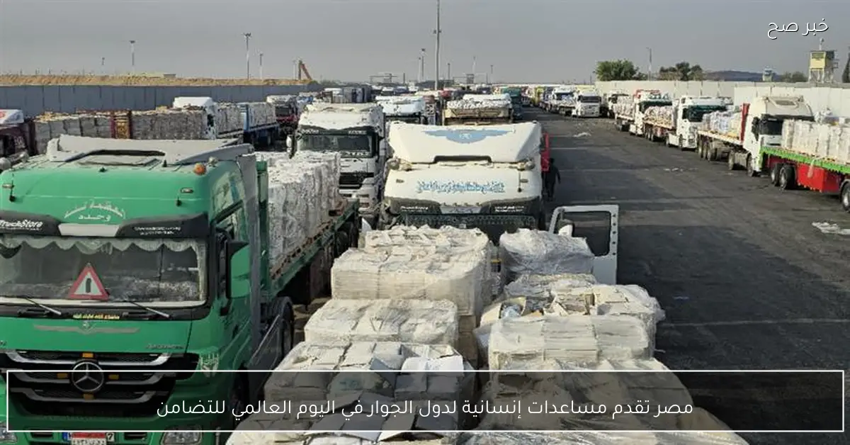 مصر تقدم مساعدات إنسانية لدول الجوار في اليوم العالمي للتضامن