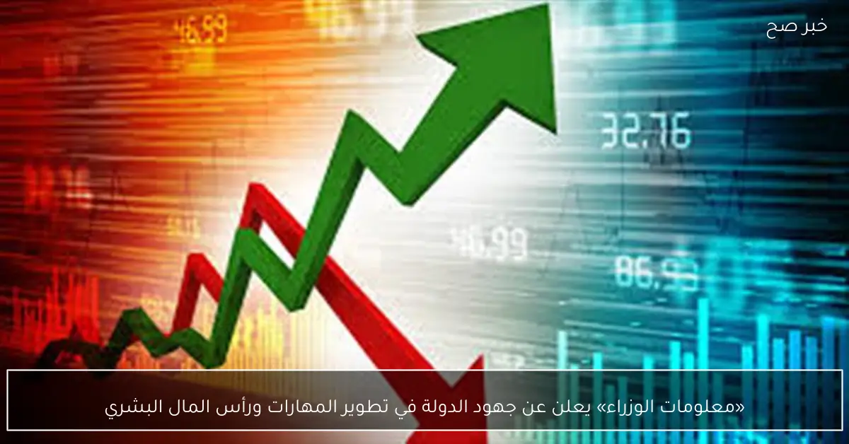 «معلومات الوزراء» يعلن عن جهود الدولة في تطوير المهارات ورأس المال البشري