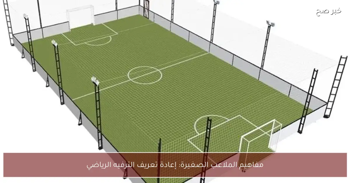 مفاهيم الملاعب الصغيرة: إعادة تعريف الترفيه الرياضي