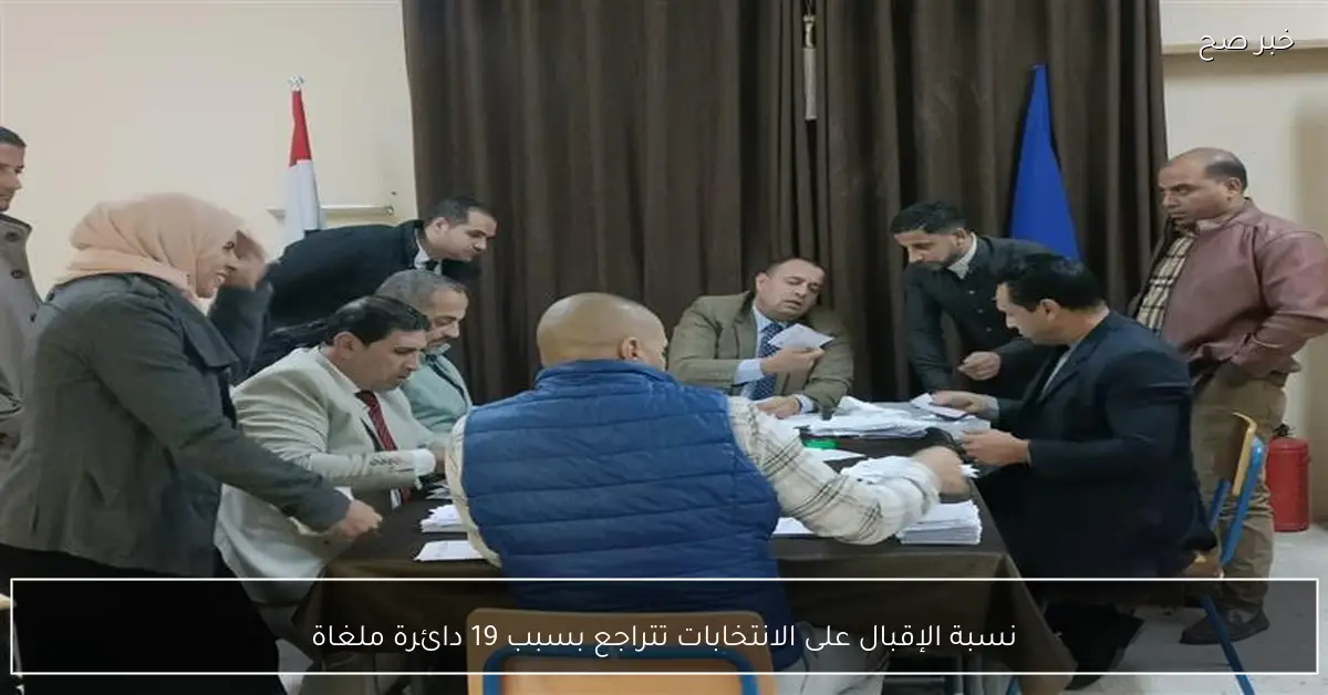 نسبة الإقبال على الانتخابات تتراجع بسبب 19 دائرة ملغاة