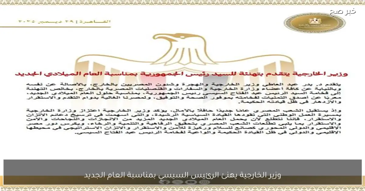 وزير الخارجية يهنئ الرئيس السيسي بمناسبة العام الجديد