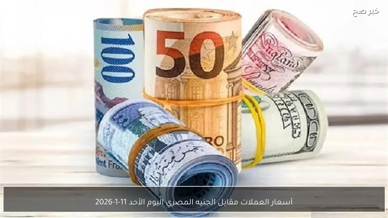 أسعار العملات مقابل الجنيه المصري اليوم الأحد 11-1-2026 - خبر صح