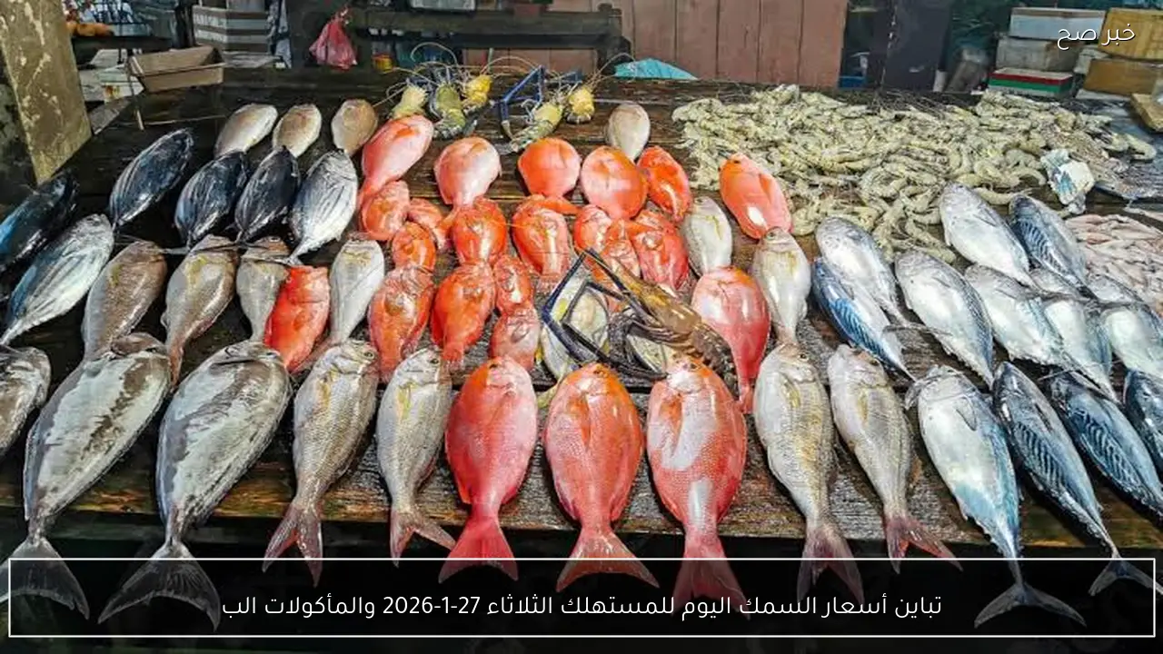 تباين أسعار السمك اليوم للمستهلك الثلاثاء 27-1-2026 والمأكولات البحرية بسوق العبور للجملة
