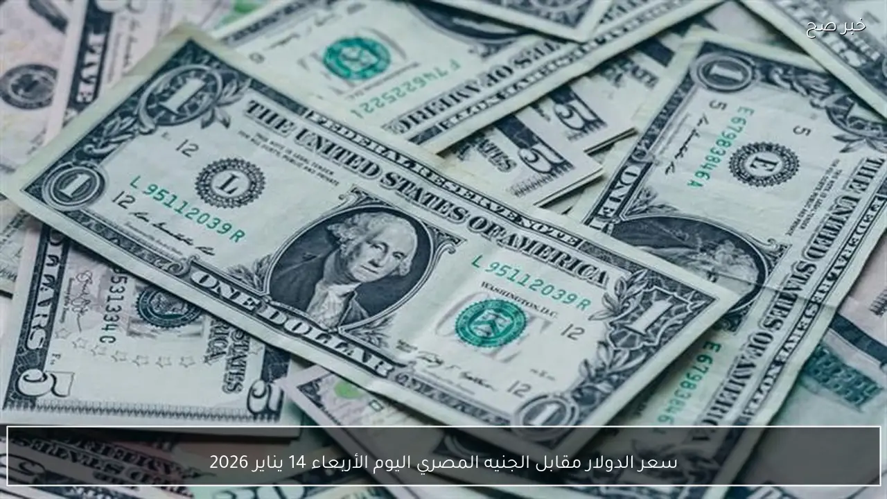 سعر الدولار مقابل الجنيه المصري اليوم الأربعاء 14 يناير 2026